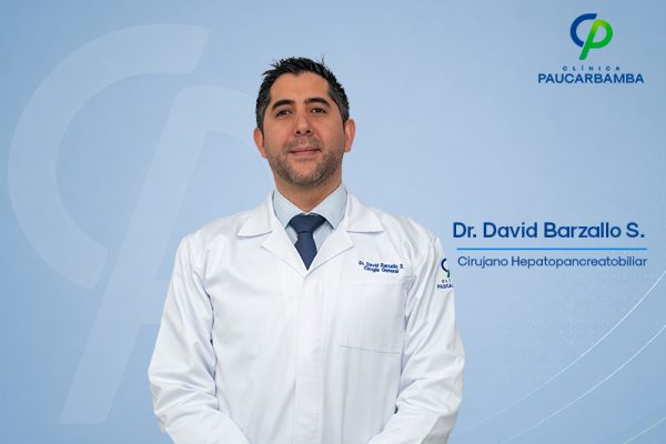 David Esteban Barzallo Sánchez